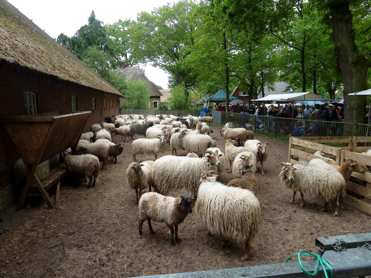 Wapen Van Exloo Dış mekan fotoğraf